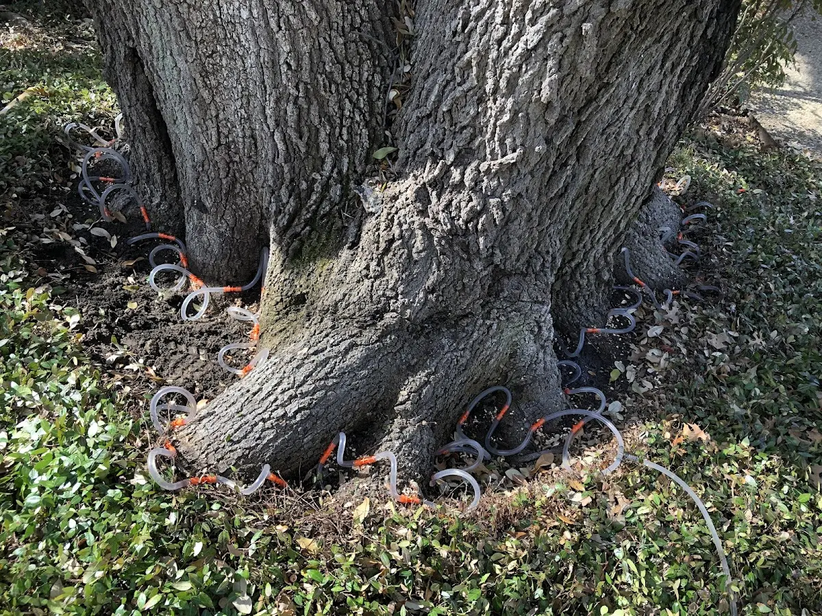 Detailed Shrub and Hedge Trimming job site in Pleasant Plains