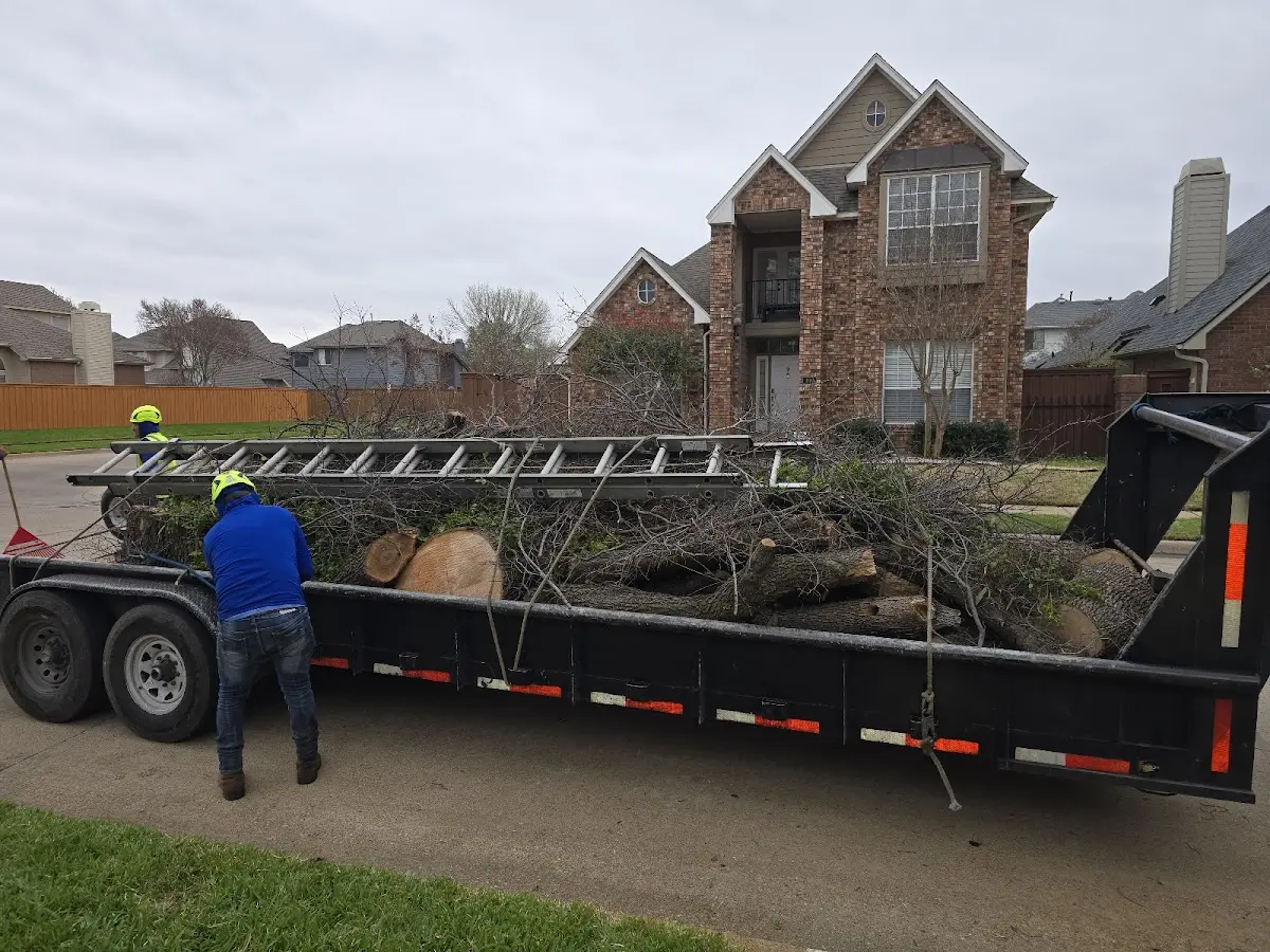 Expert Tree Removal with proper safety equipment in Pleasant Plains